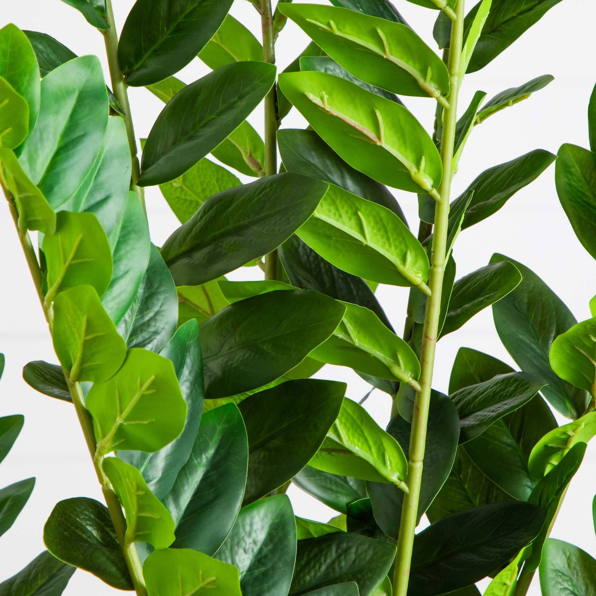 5ft. Artificial Zamioculcas Plant